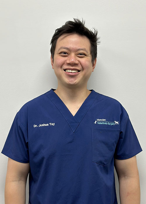 Dr. Joshua Tay
